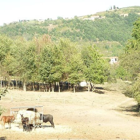 Il Grappolo In Langa Villa Monastero Bormida Bagian luar foto